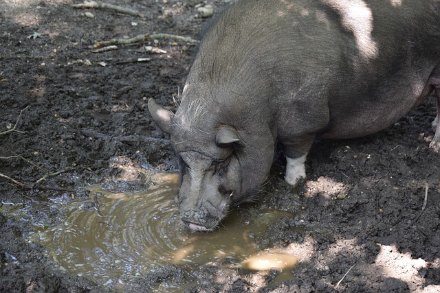 服了全场 服了全场