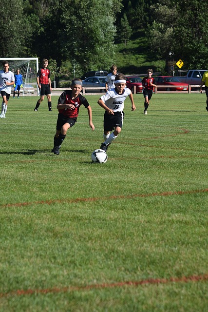 功也不是偶 功也不是偶