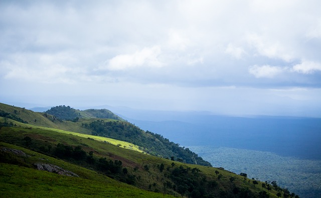 从实际案例 从实际案例