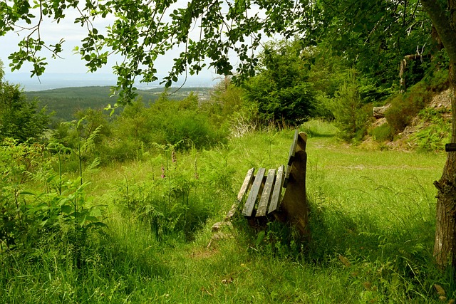 借精准的三 借精准的三