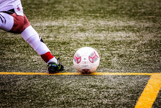 迷们津津乐 迷们津津乐