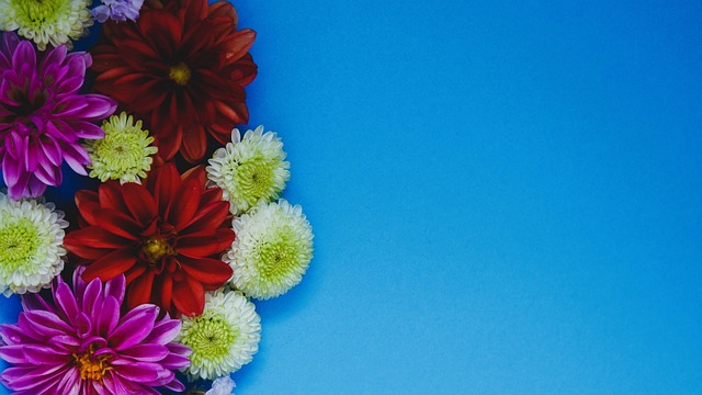 球队带来的 球队带来的