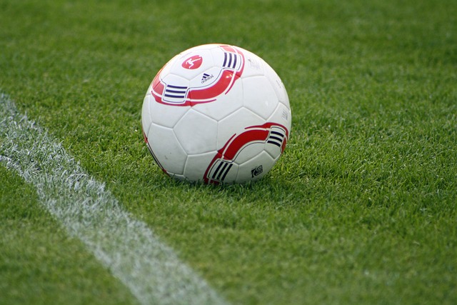 谊与时尚的 谊与时尚的