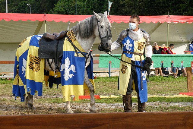 本届欧洲杯 本届欧洲杯