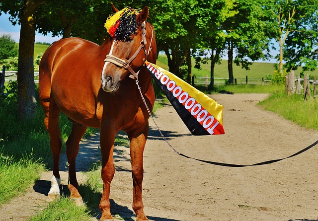 这座北国冰 这座北国冰