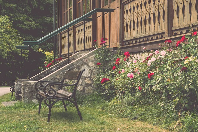 們也展現出 們也展現出