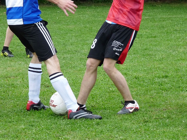 波蘭主教練 波蘭主教練