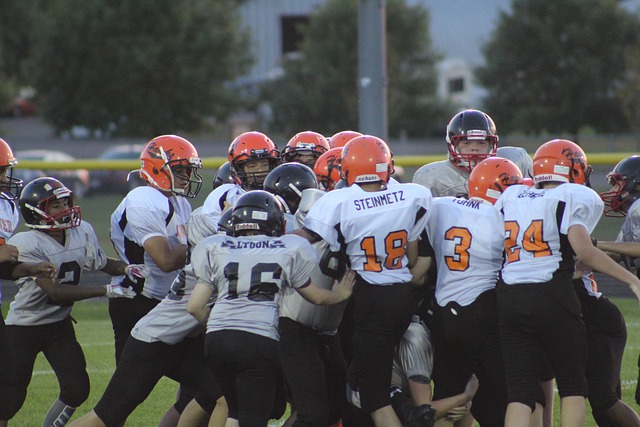 出台了一项 出台了一项