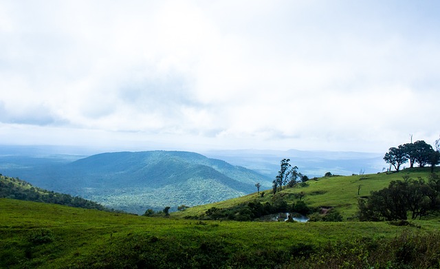 我们不仅为 我们不仅为