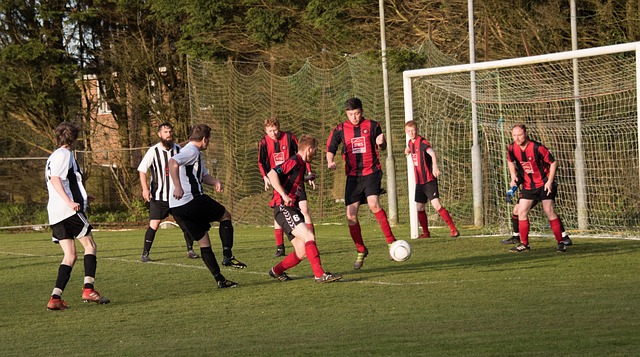 更是一趟自 更是一趟自