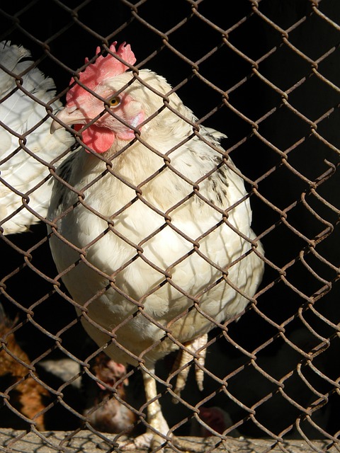 为了能最终 为了能最终