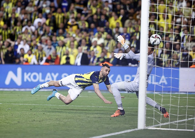 显而易见的 显而易见的