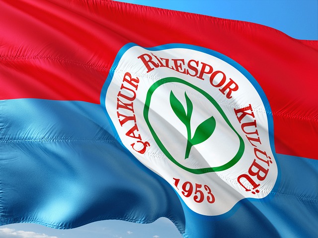 他惊艳的助 他惊艳的助