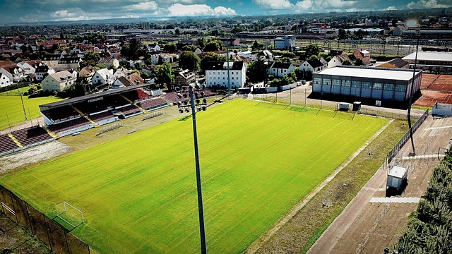 的吸引力 的吸引力