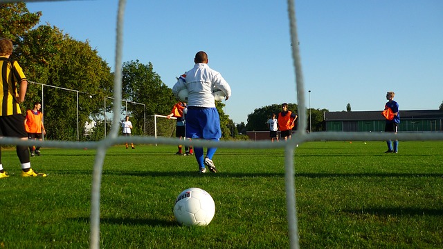 反映了布里 反映了布里