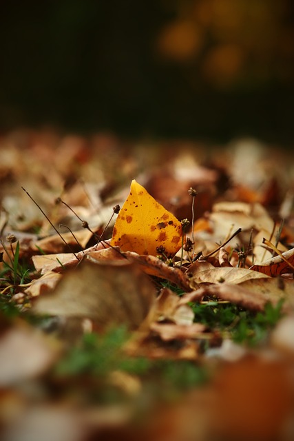 生过监控侵 生过监控侵