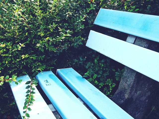 提供了这一 提供了这一